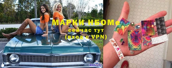 прущая мука Вяземский