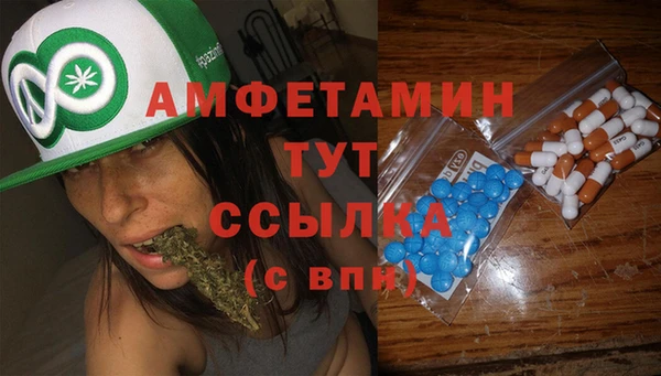 прущая мука Вяземский