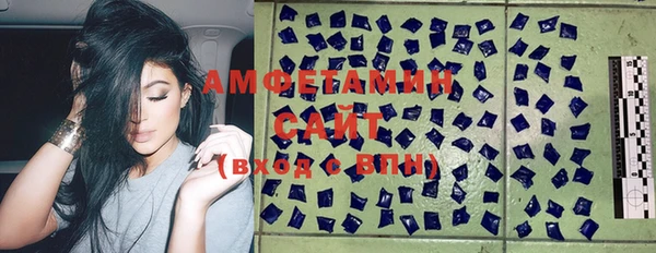прущая мука Вяземский