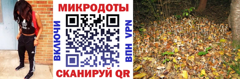 сколько стоит  Нижний Новгород  МЕГА   Галлюциногенные грибы мухоморы 